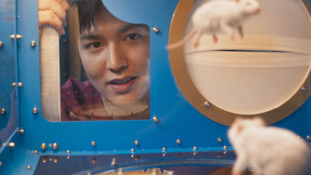 별들에게 물어봐 6화